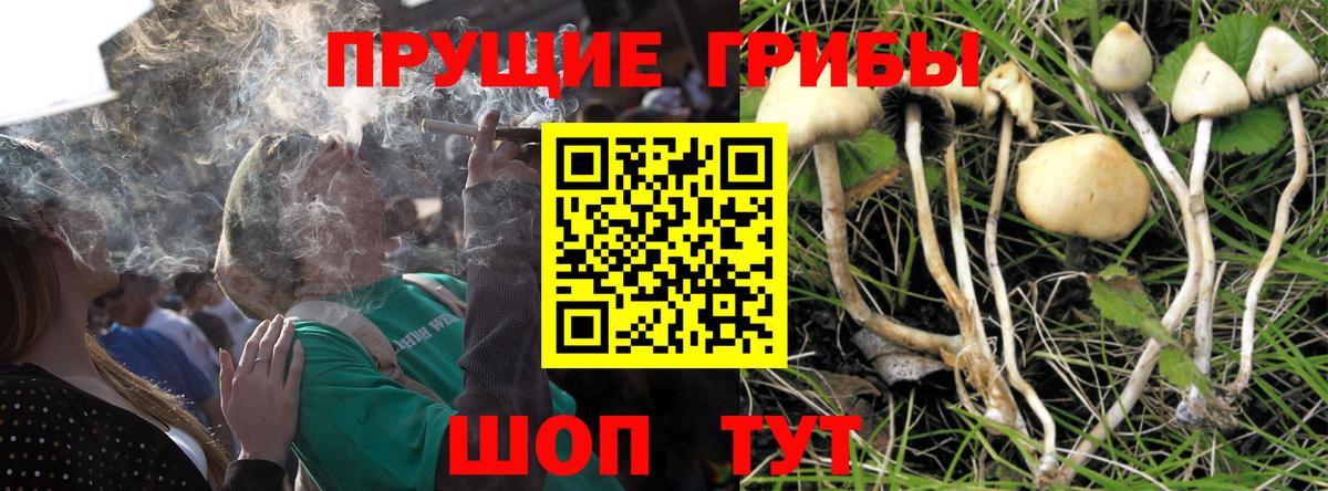 Галлюциногенные грибы Cubensis Аша